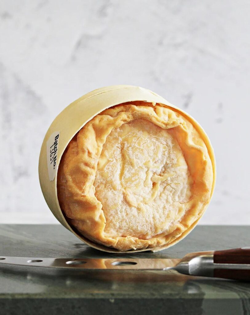 Day 1638 of posting images of cheese until I run out of cheese types: Edmund Tew