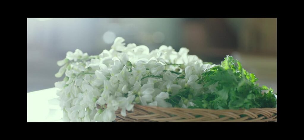 What is this dish?!?