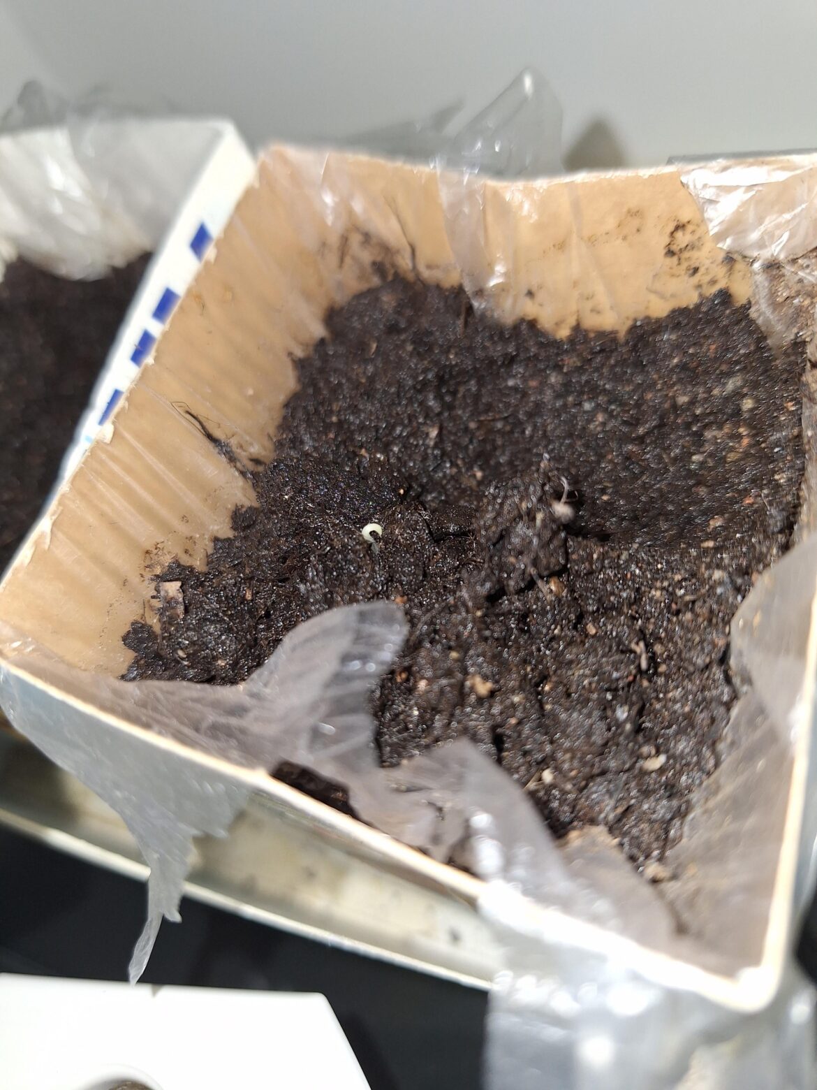 Only took 30 days...