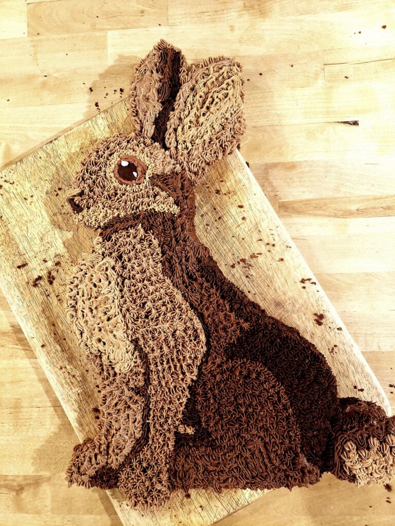 Son asked for a rabbit cake for his 12th birthday