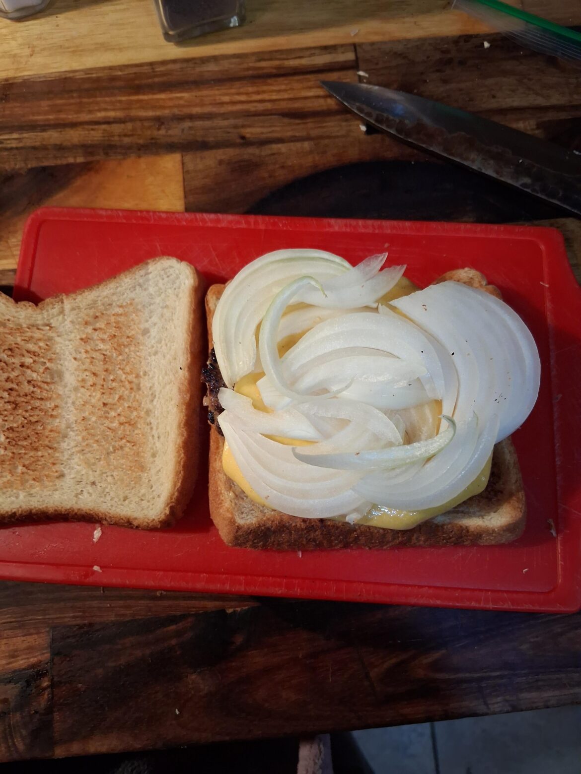 Not enough onion on my homemade trash cheeseburger