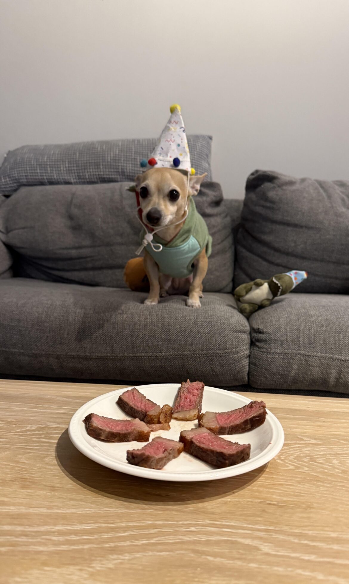 Birthday Steak for My Dog