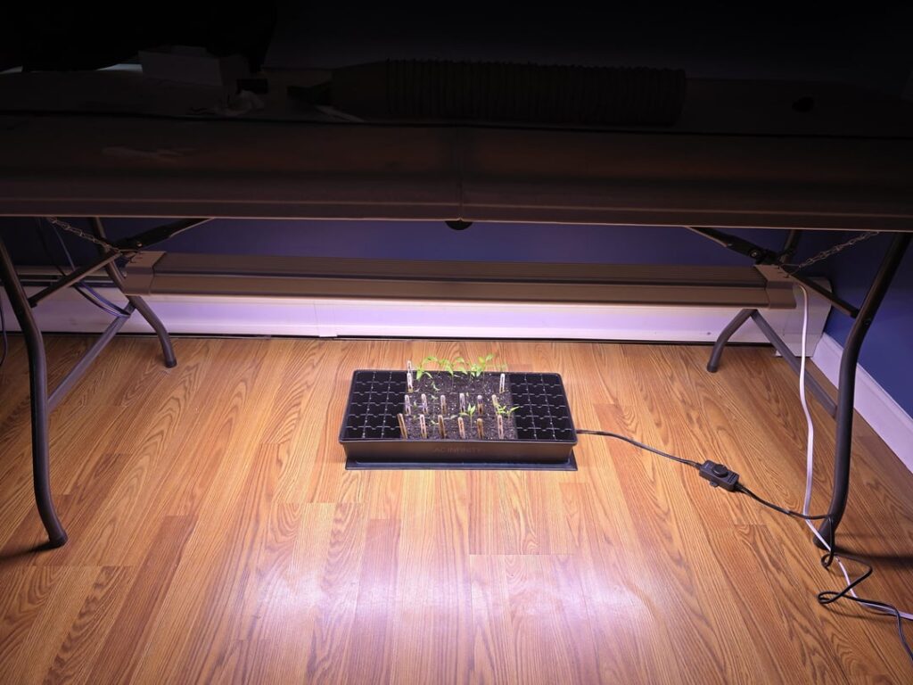 Roast my setup. Roast my setup.