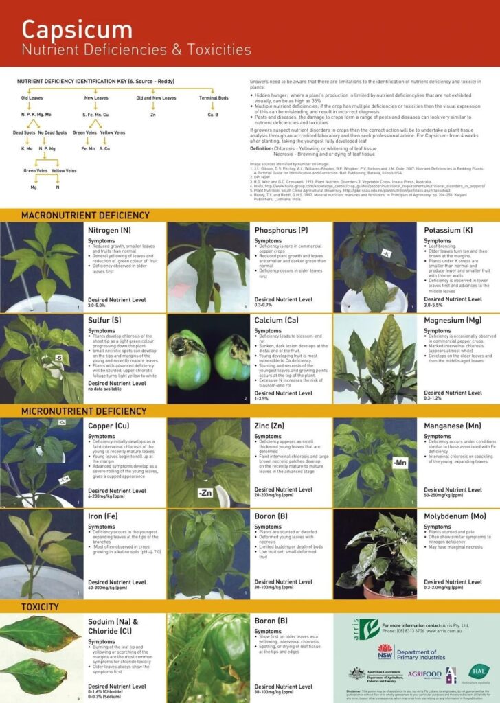 I found this. I hope this helps for all your pepper grows.