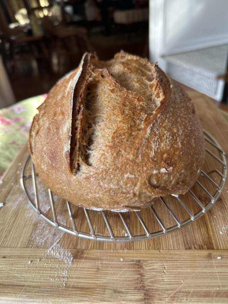 First try at 100% whole wheat sourdough!
