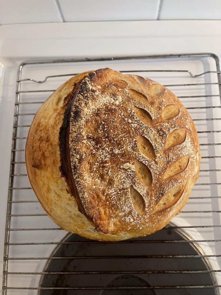 First loaf ever!