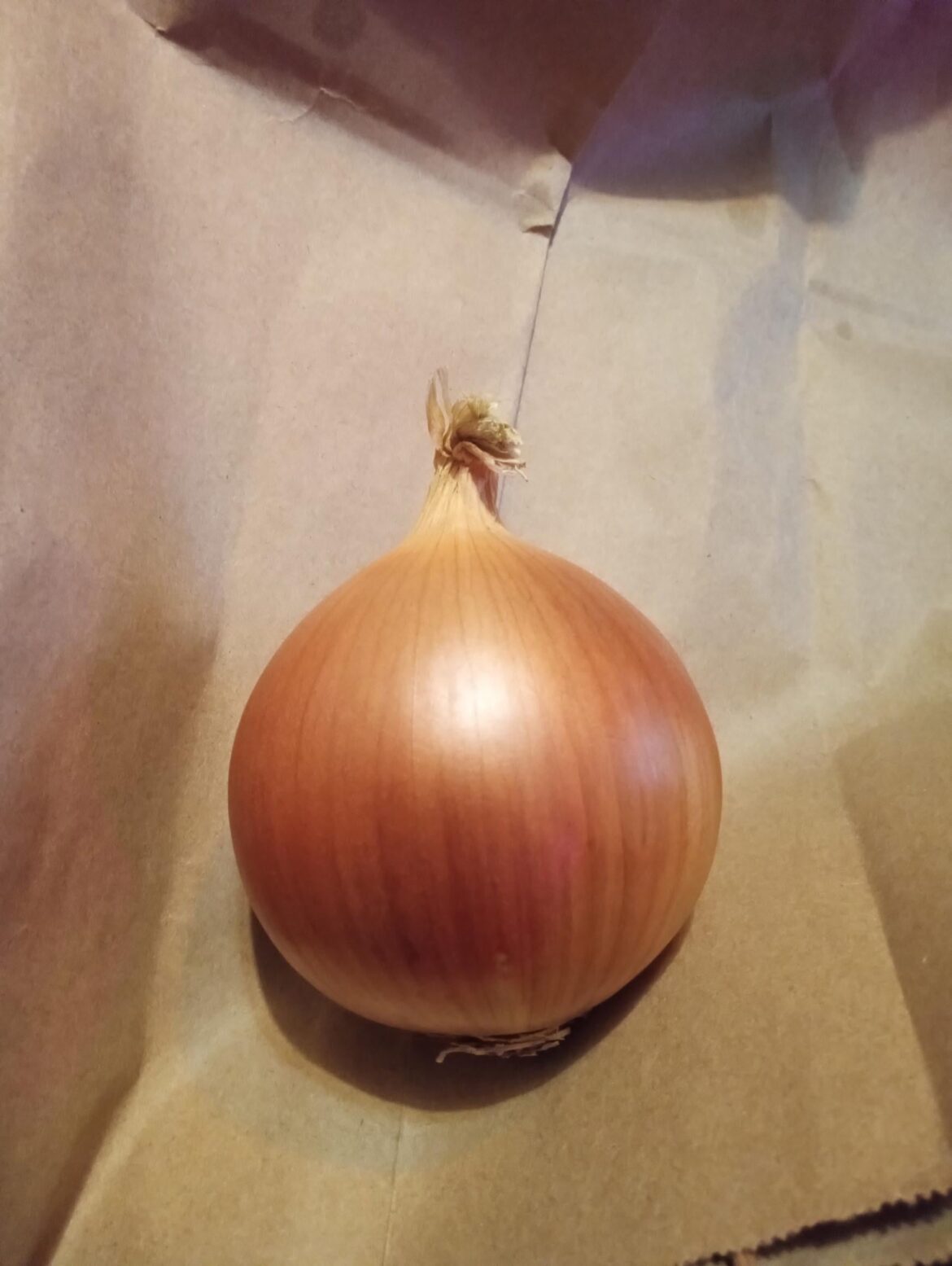 This pretty leedo fella.