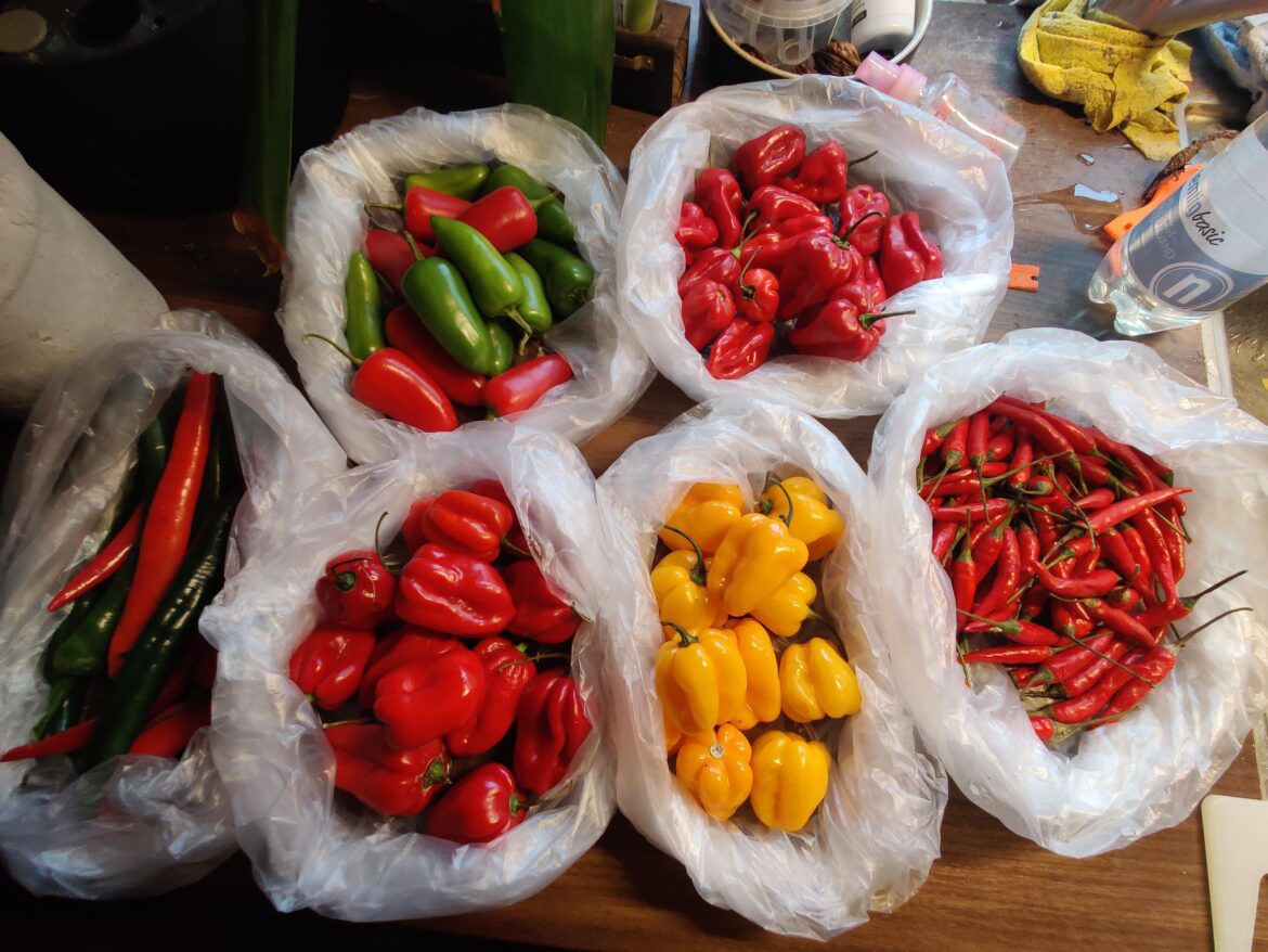 Just got home from the market Just got home from the market