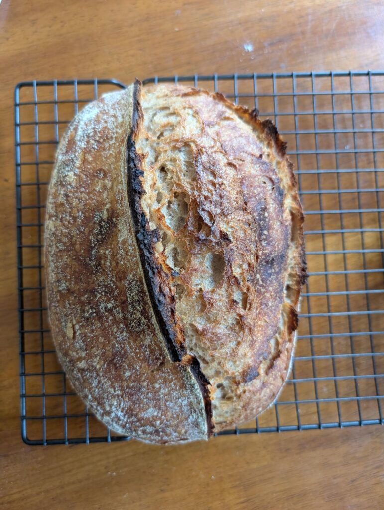 Rate my (five hundred and) first loaf!