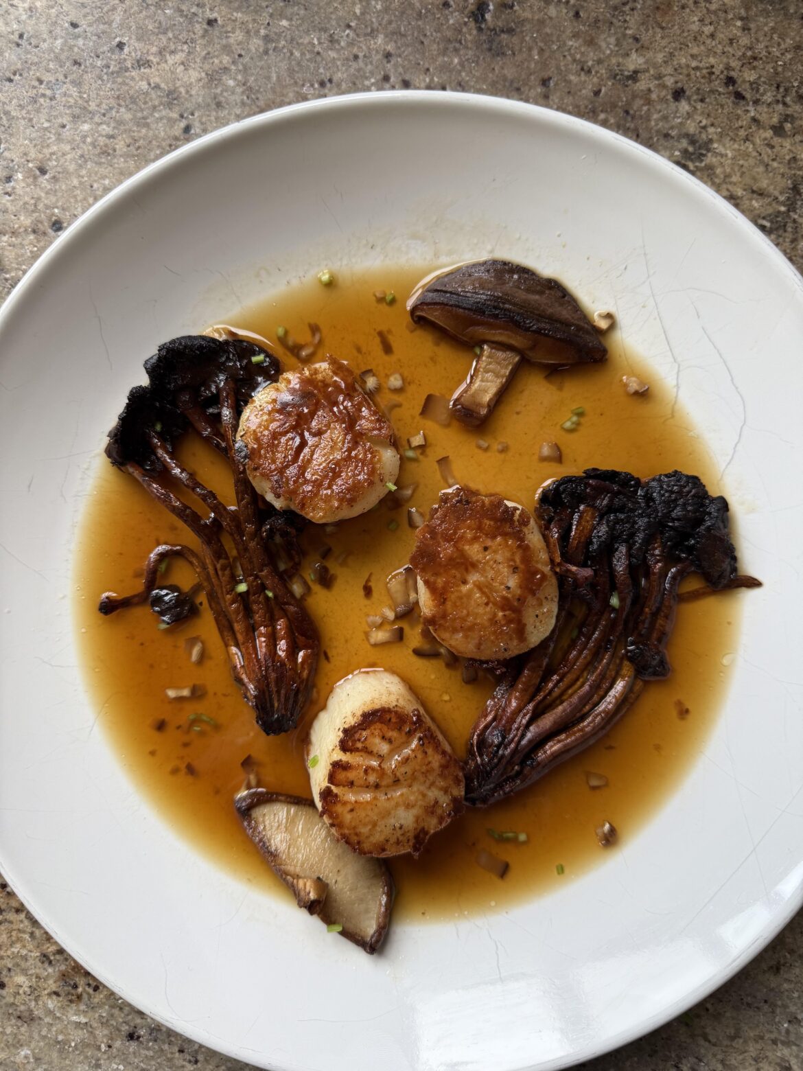 Scallops, mushrooms and dashi