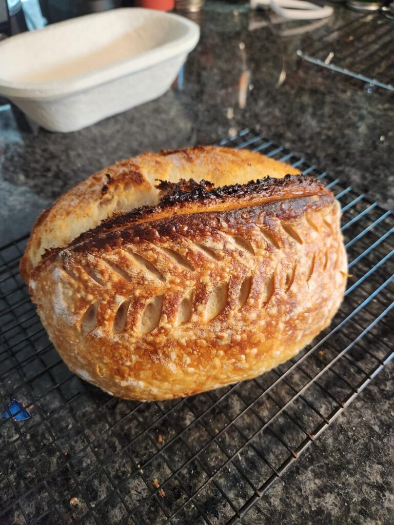 How did I do? How did I do?