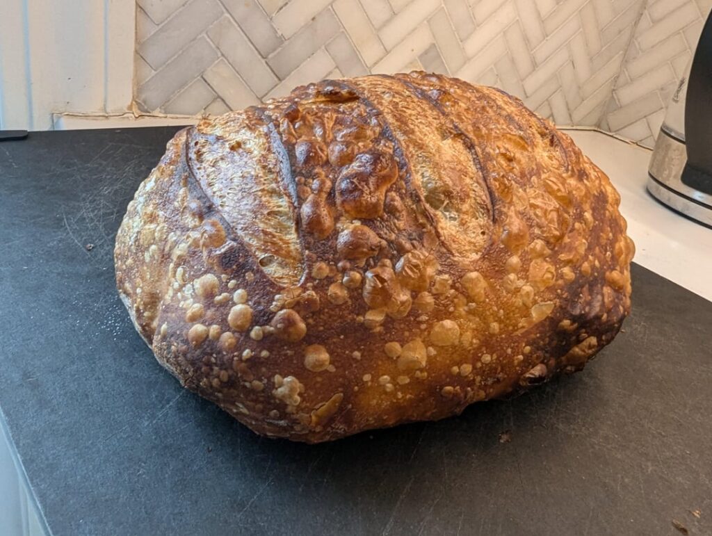 My first try. I can't tell if it's appropriately proofed, but it's delicious.