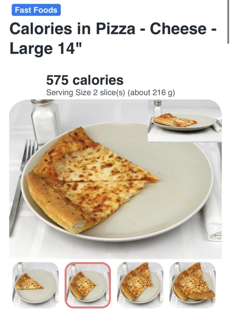PSA: the best visual calorie counting website ever