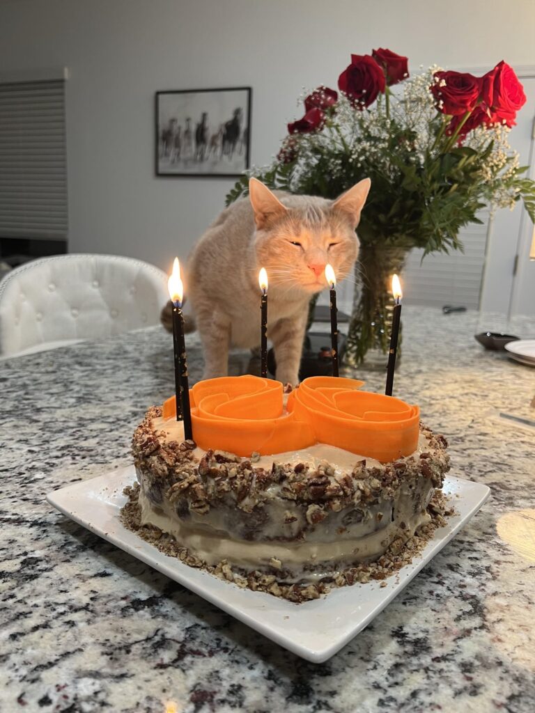 I made a Carrot cake for my boyfriend’s birthday!