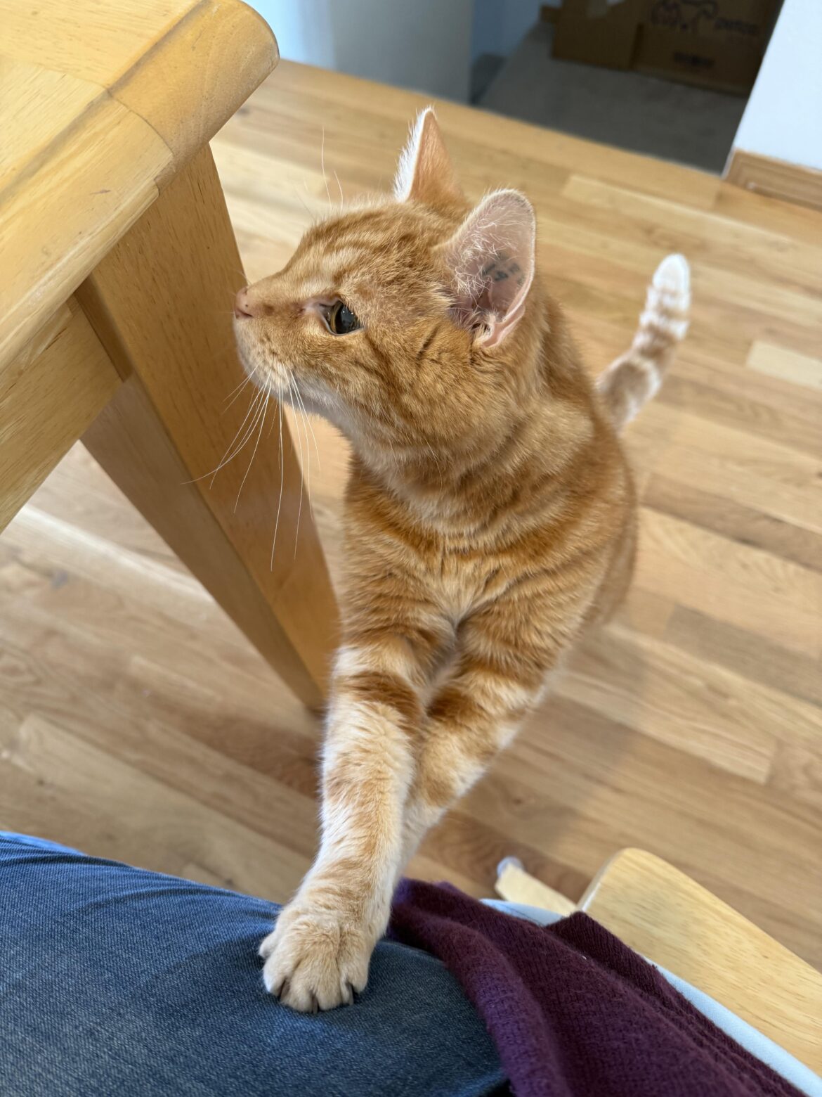 Anyone else have to share their deenz?