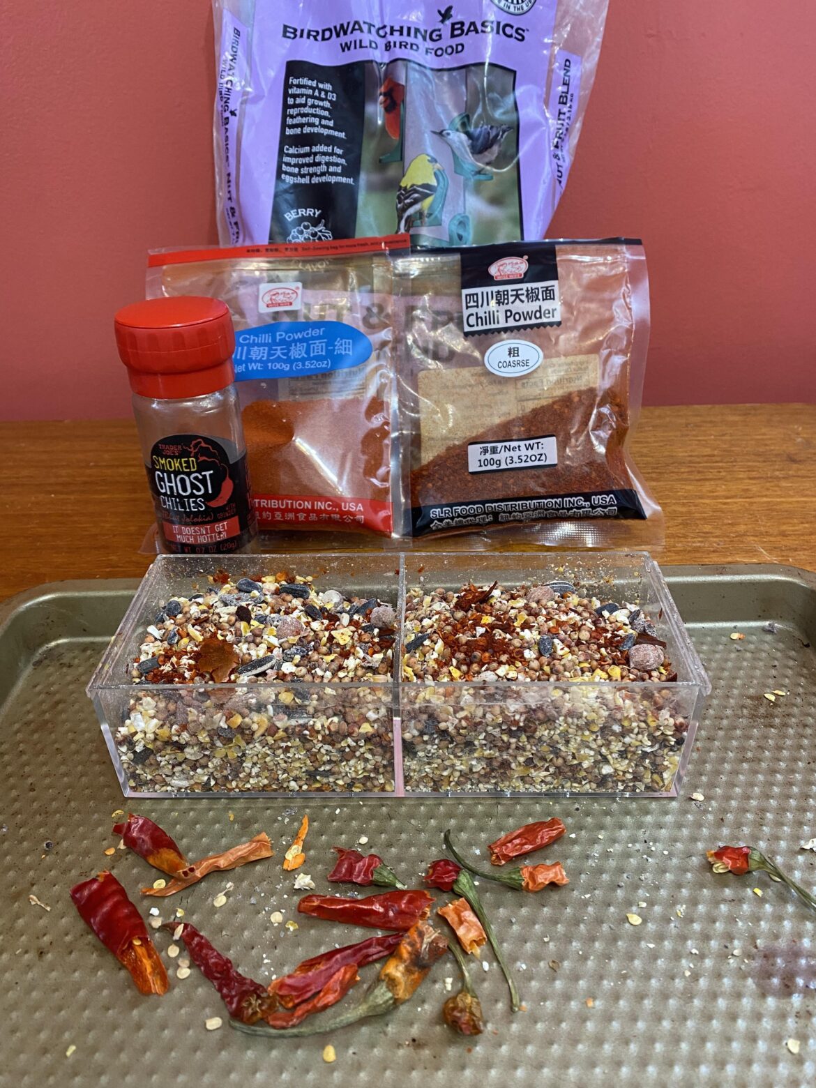 This squirrel is about to find out.