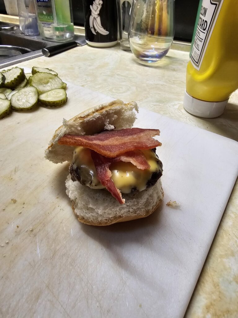 What is this?! A burger for ants?!