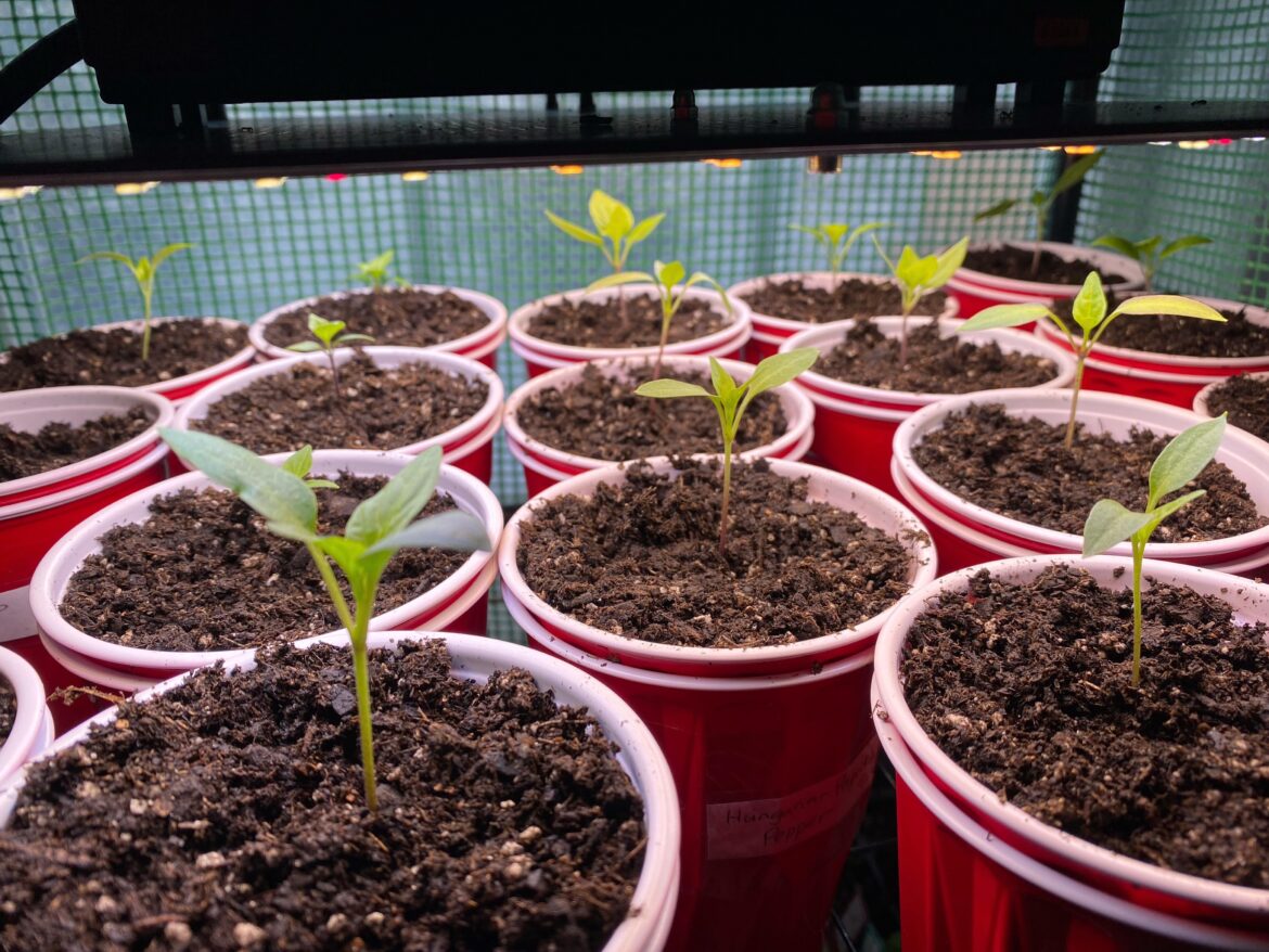 Welcome sight on a snow day Welcome sight on a snow day