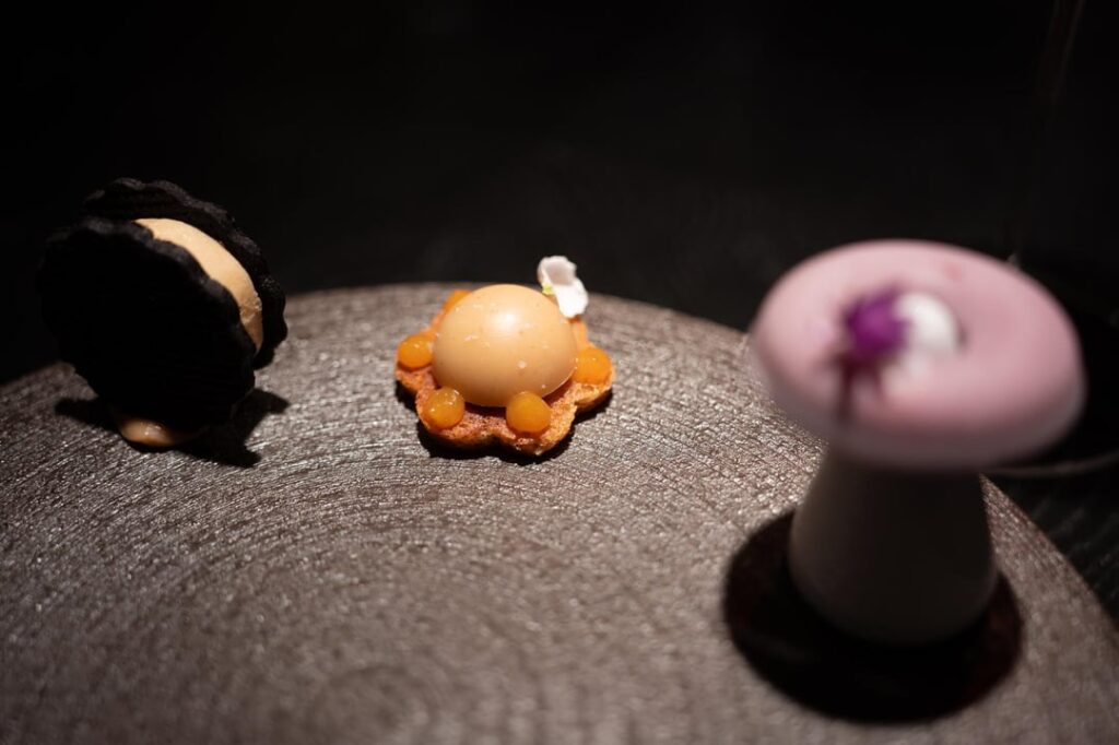 Cyrus*, Geyserville, CA - February 16, 2025