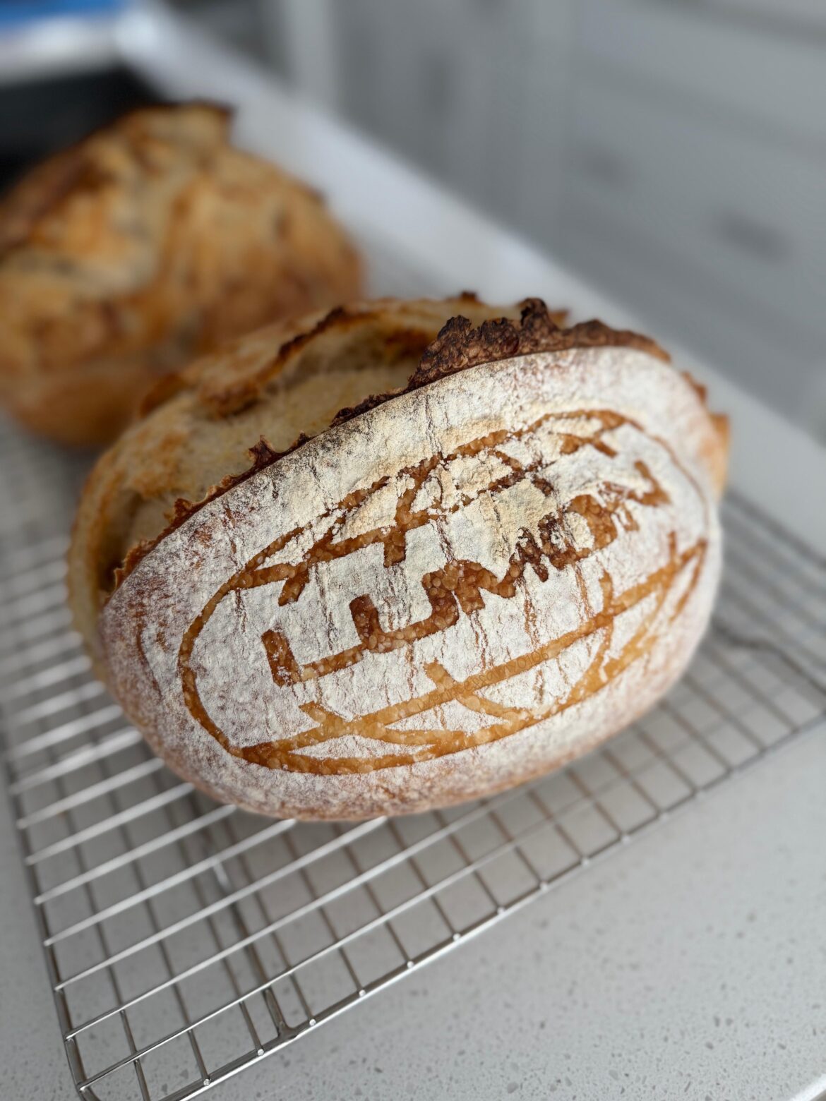 MDR’s Next ORTBO: Artisnal Breakmaking (Macrodough Refinement) MDR's Next ORTBO: Artisnal Breakmaking (Macro*dough* Refinement)