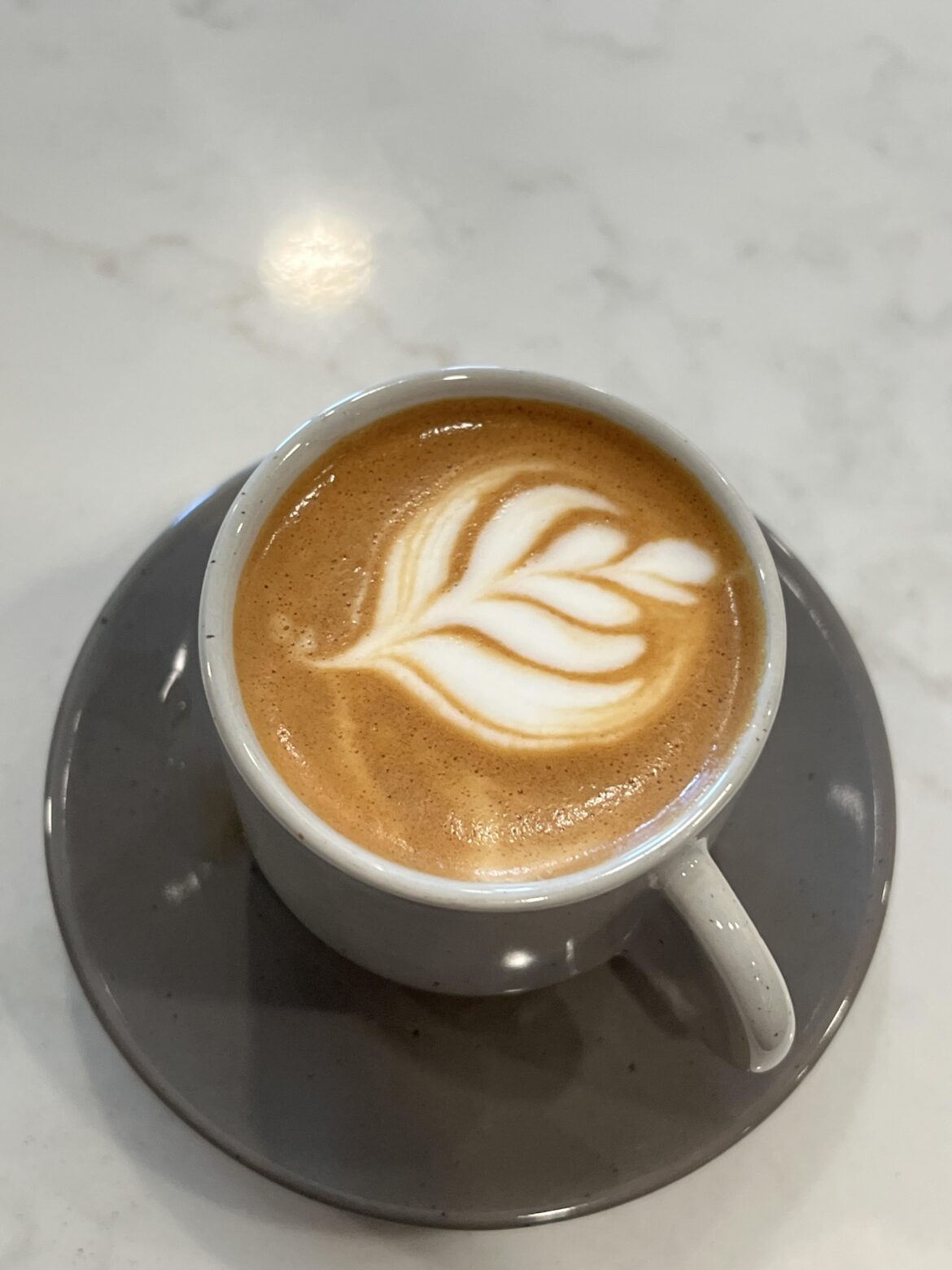 working on my cortado art