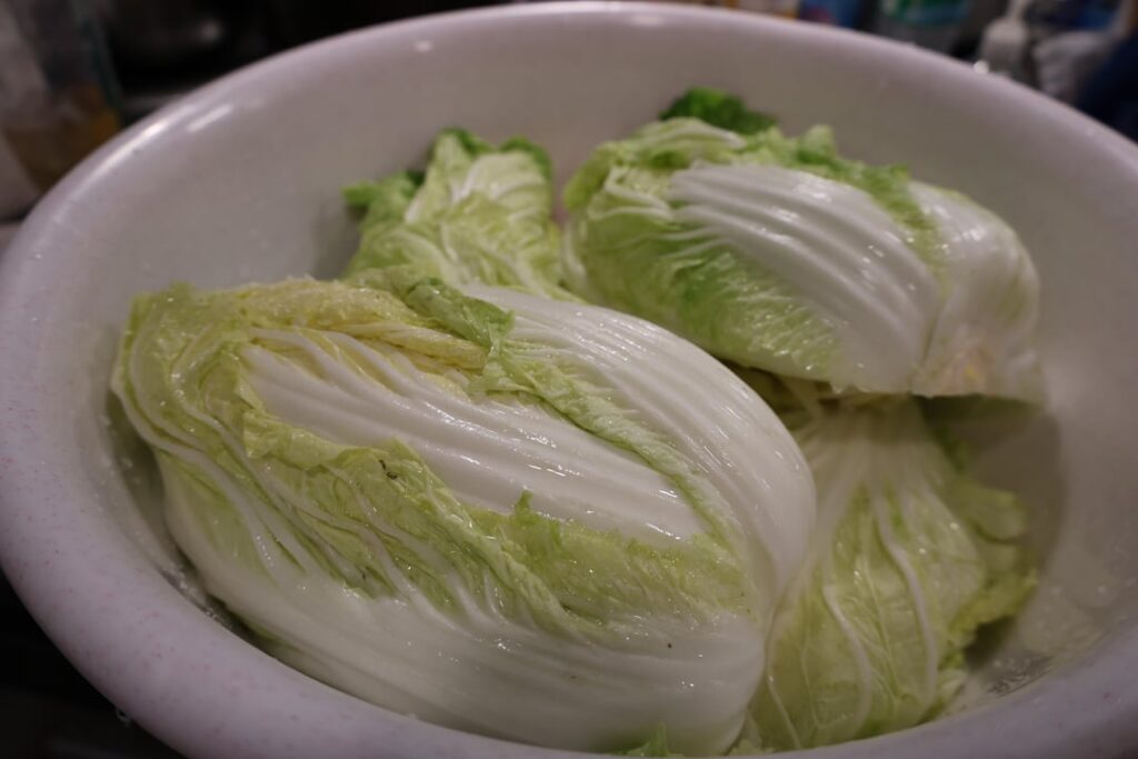 First time making Kimchi