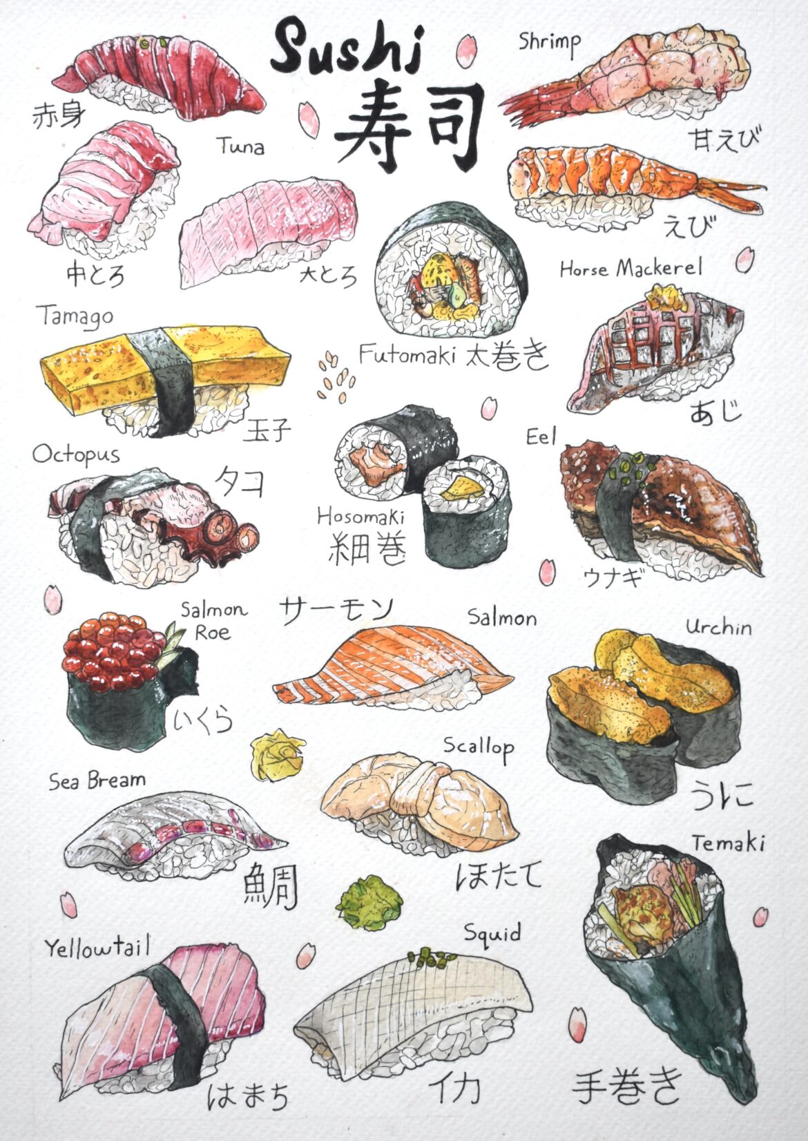I've recently been making drawings of different collections of things. Here's one of sushi