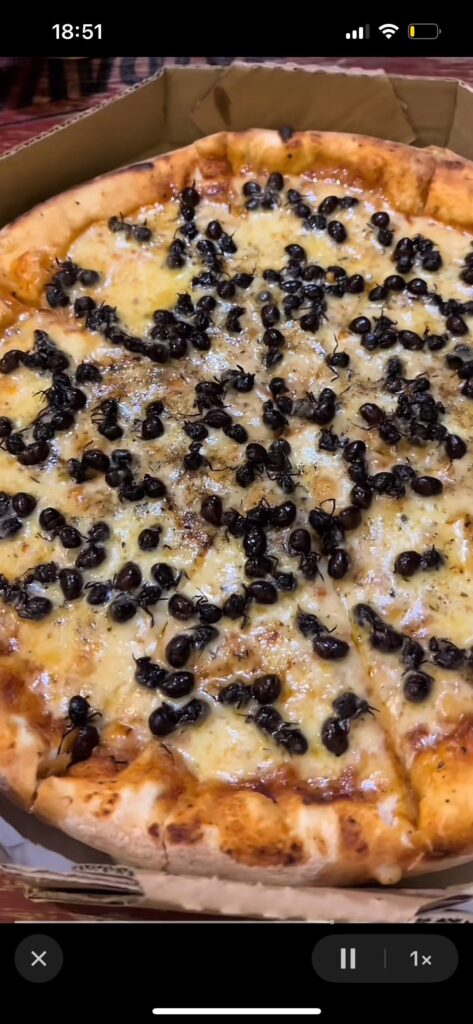 Atta (ant) Pizza