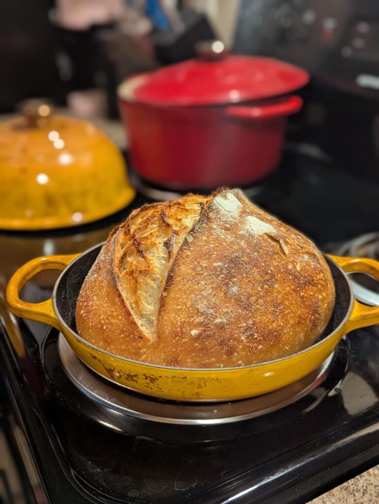 Finally starting to get pretty sourdough