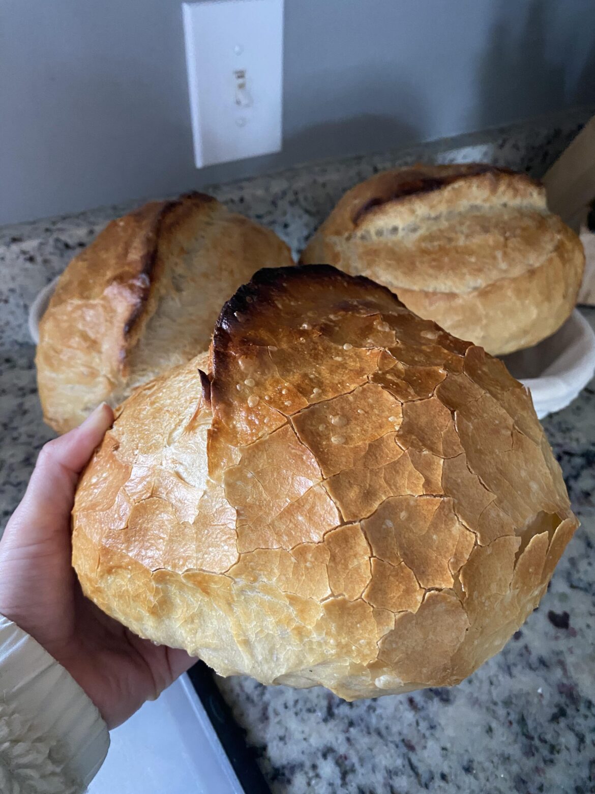 Crust is all cracked and flakey after cooling