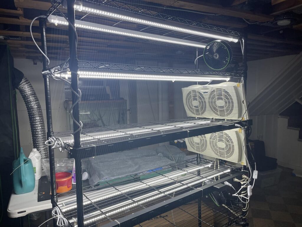 Grow set up. Grow set up.