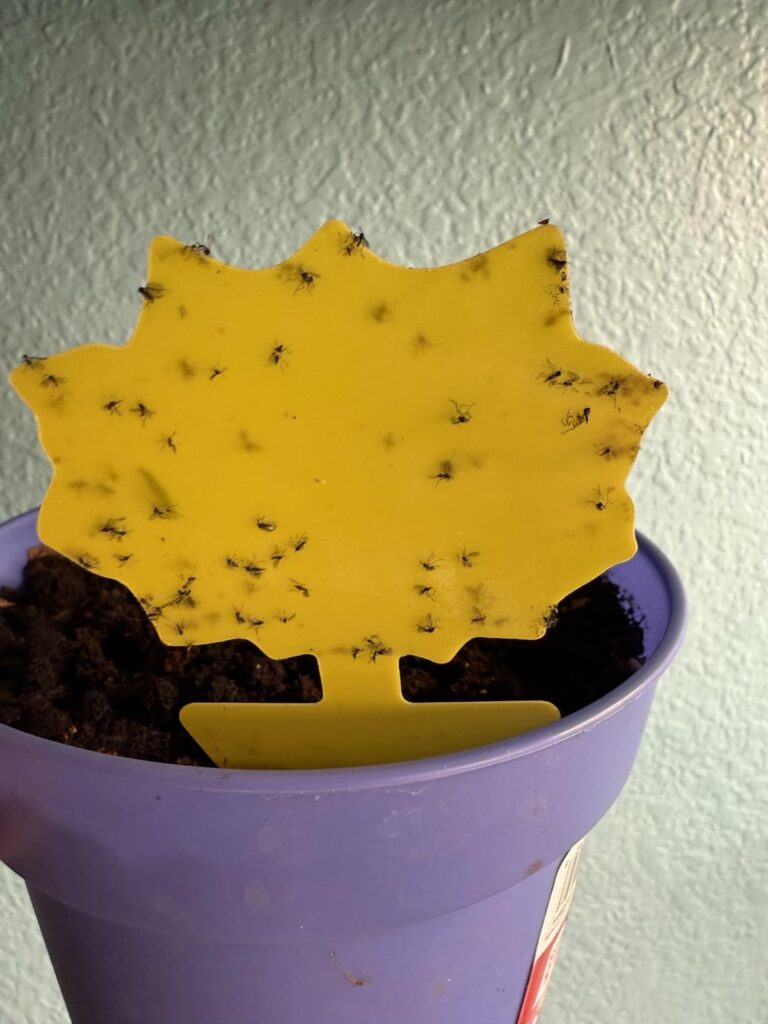 Redditors is smart peepel Redditors is smart peepel