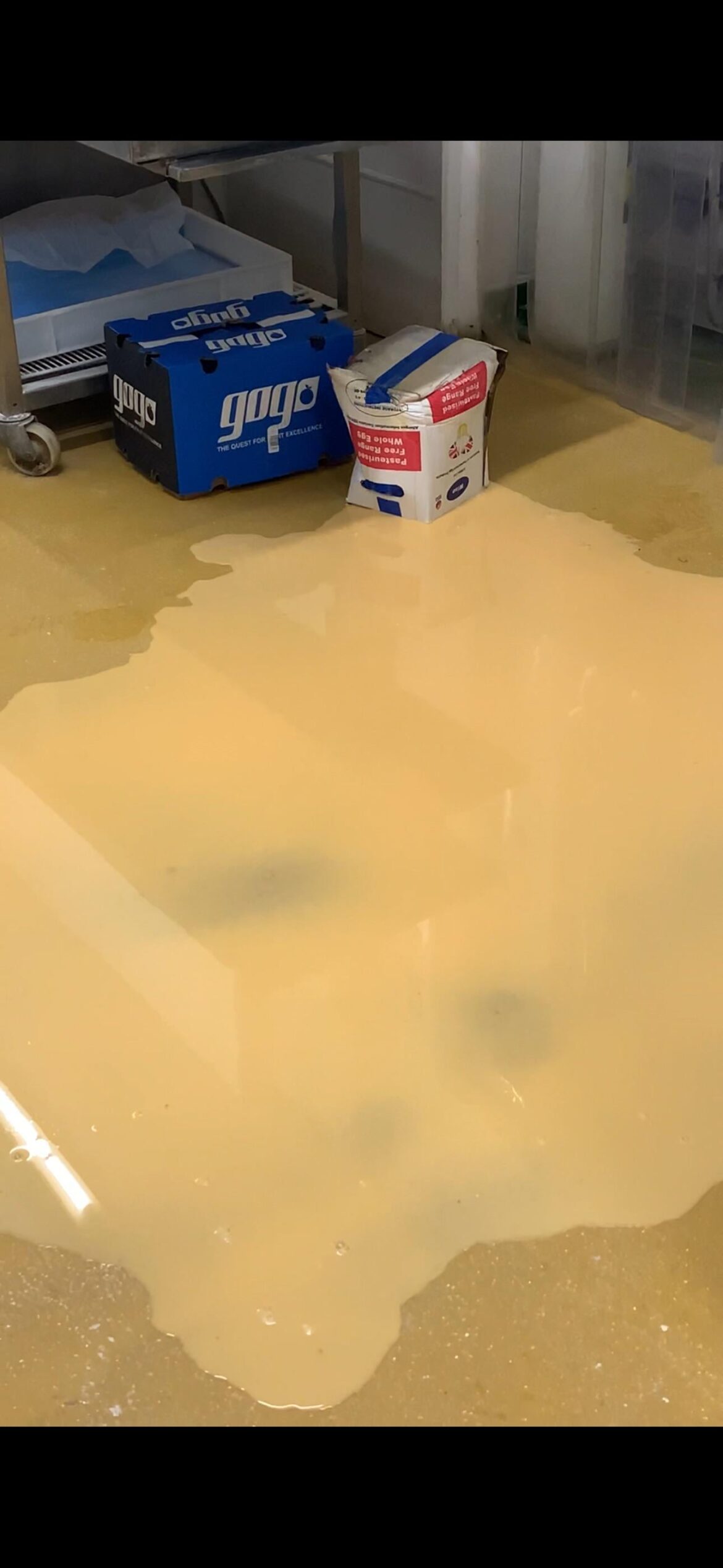 Oopsie, dropped the egg