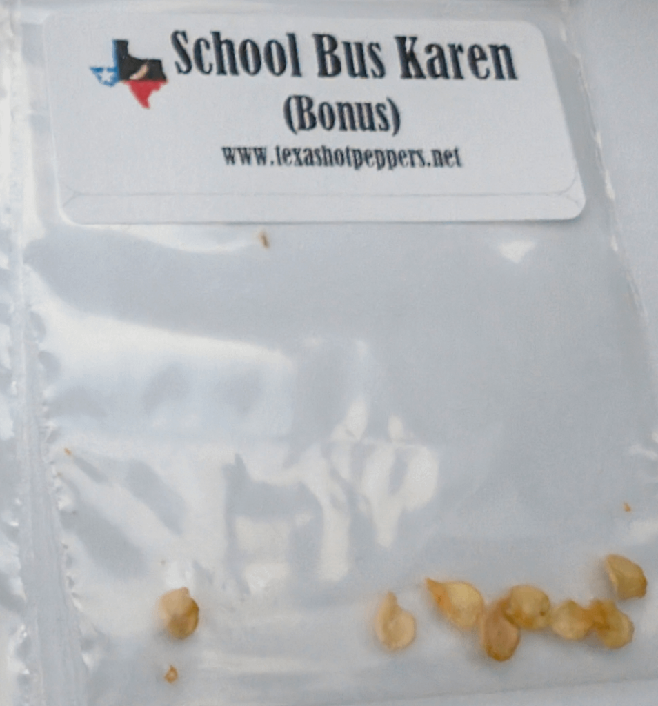 I bought seeds online and these School Bus Karen seeds came extra. Anyone here had these before?