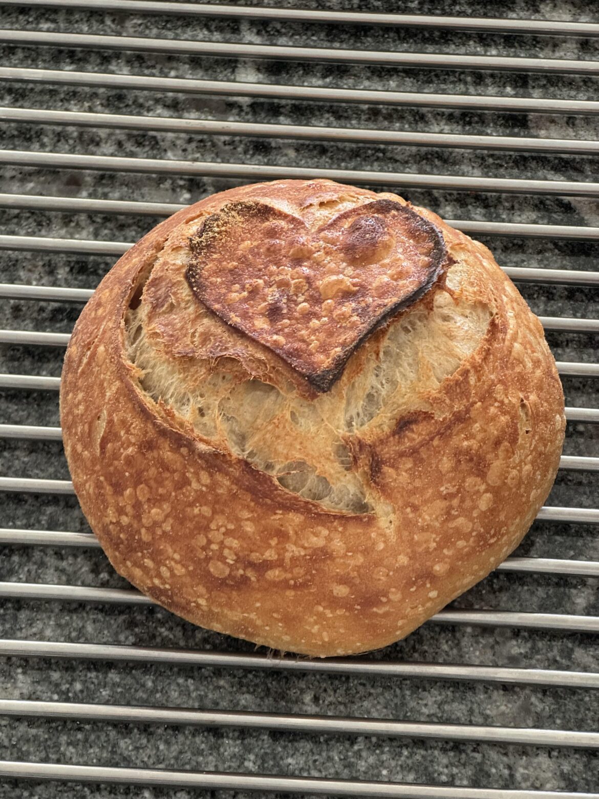 Thankful for the Community