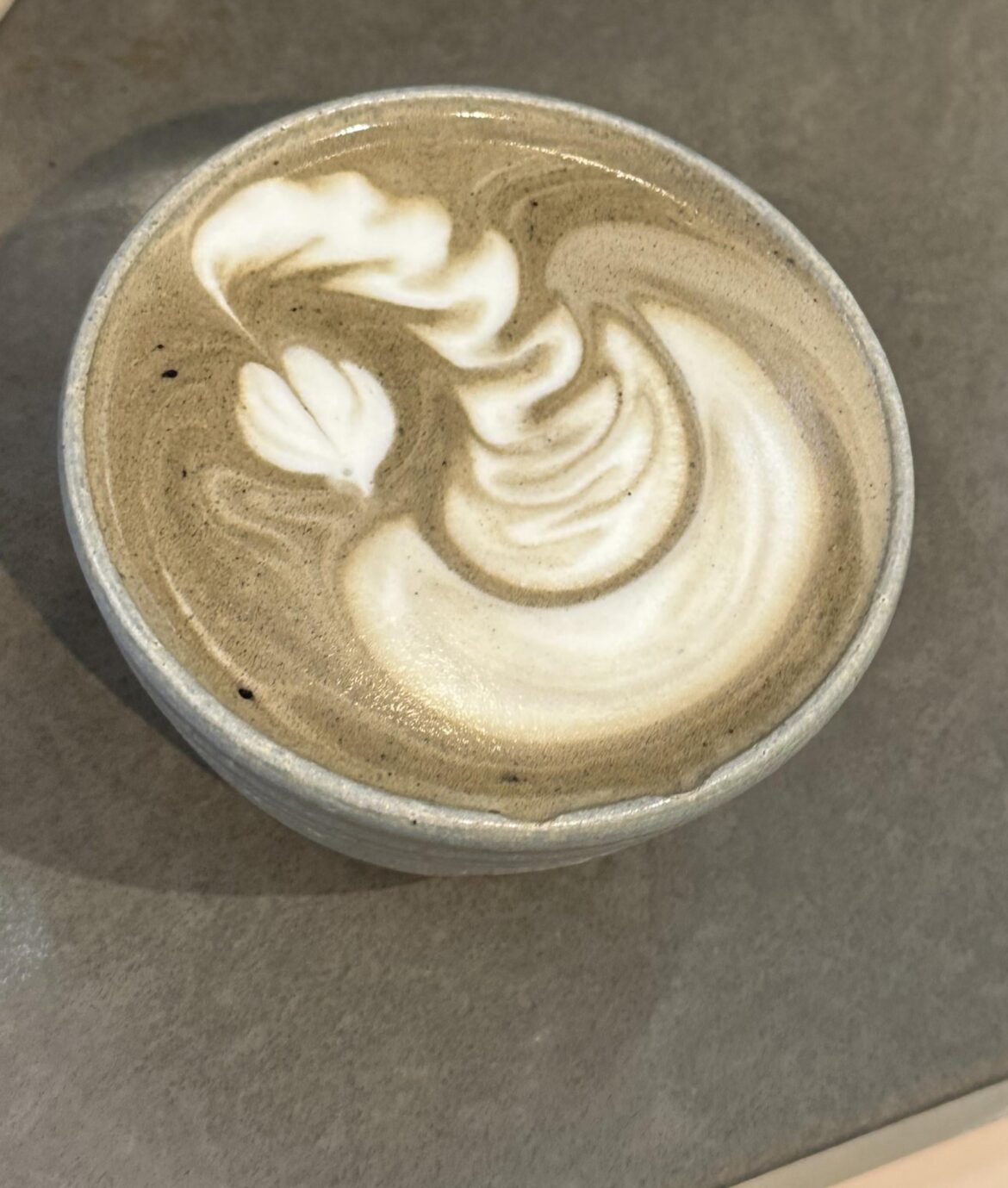 My first swan 🦢