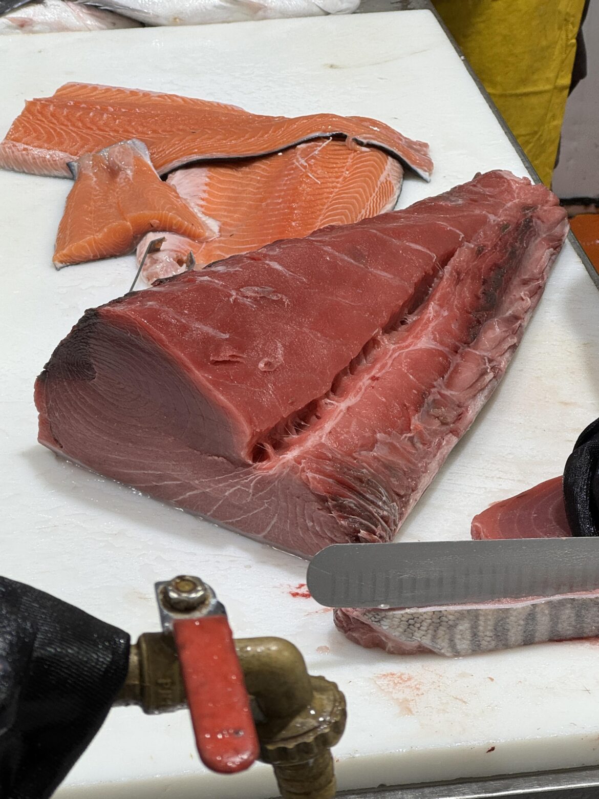 Can someone tell me which cuts (Akami, toro, chutoro) are on which parts of this cross section of Tuna?