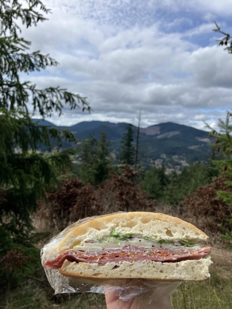 Took a hike so I could eat this sandwich