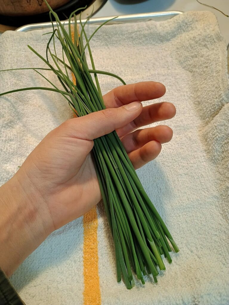 Tag your produce guy if you could find better chives  growing outside in a literal drainage ditch