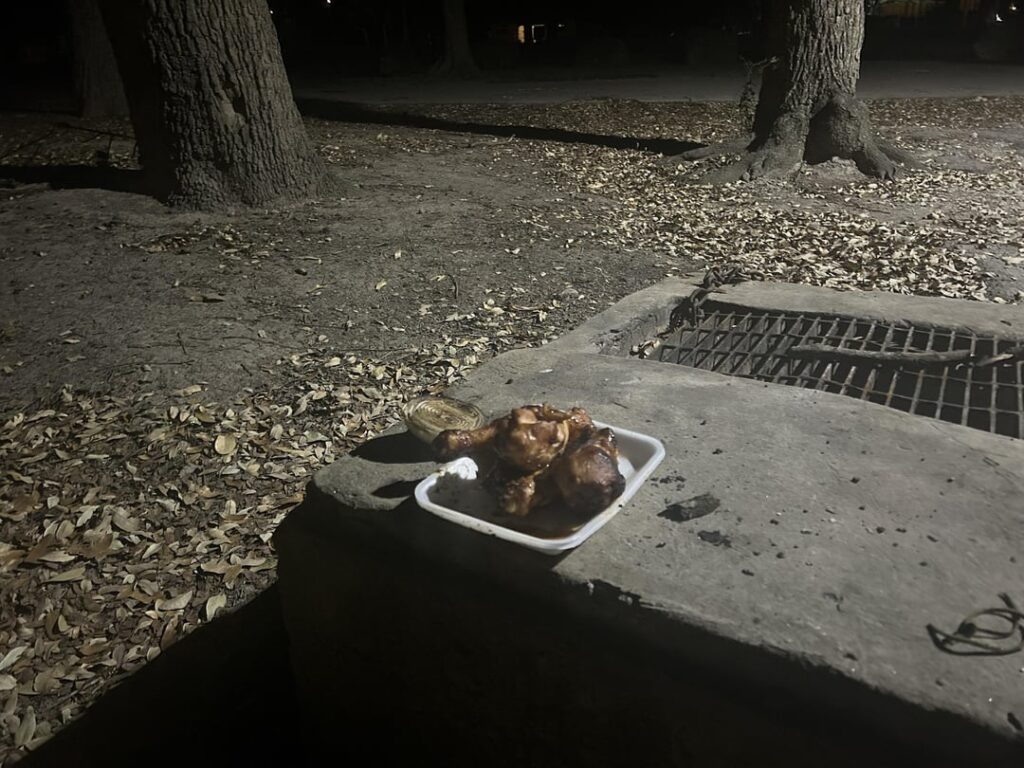 Abandoned Grilled Onion and Chicken in the Park