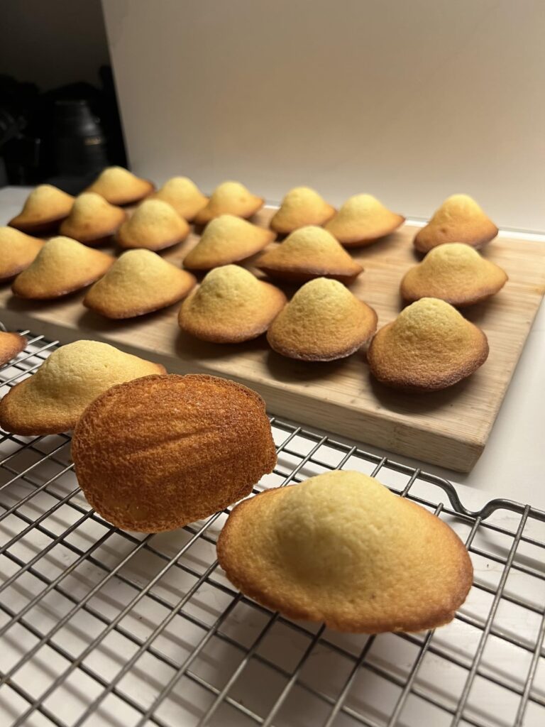 A fleet of UFOs landed in my kitchen last night