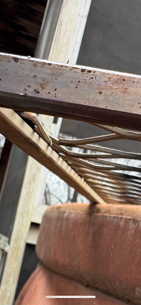 Just a bit of concern re: Pimpmygrill.com shelving