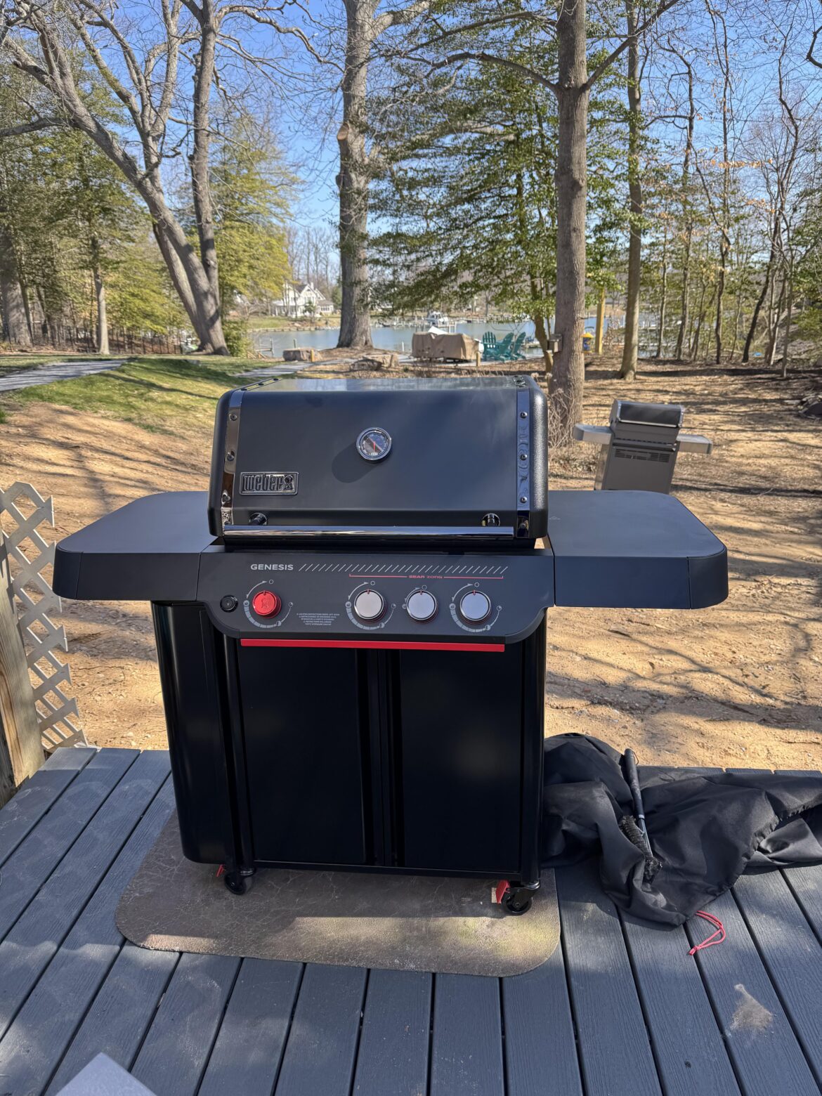 Weber Stealth E330