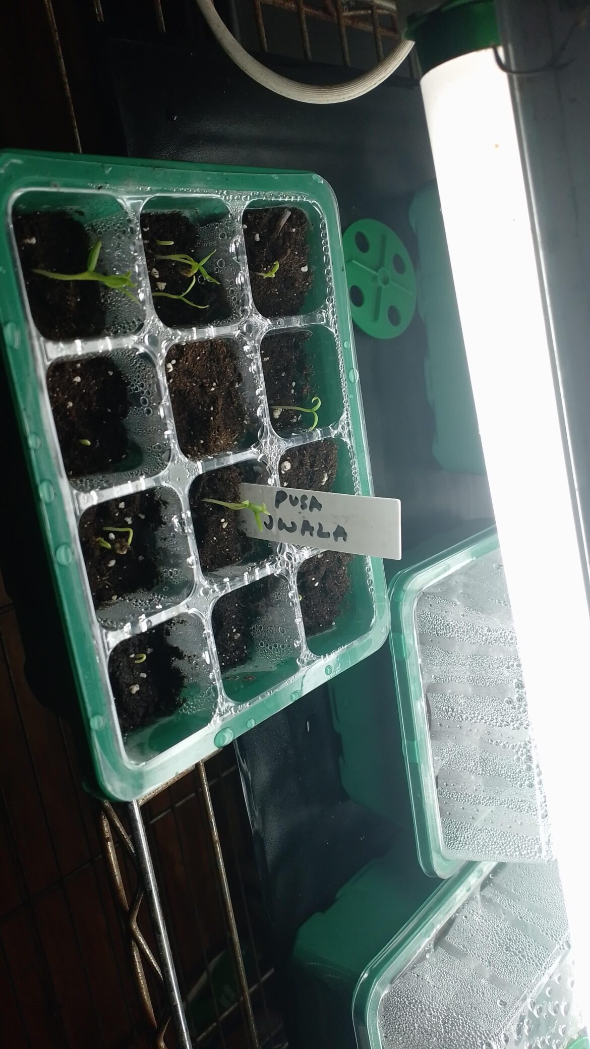 Wow, these guys are loving life!