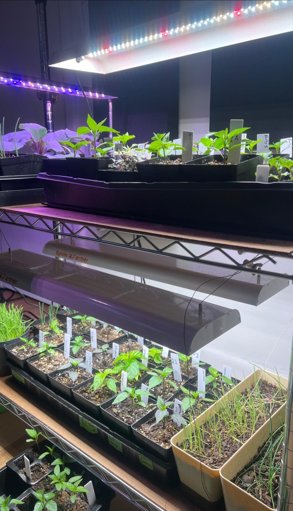 Determined to succeed this year! Determined to succeed this year!