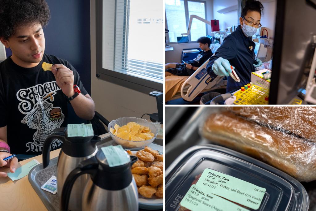 Inside the government study trying to understand the health effects of ultraprocessed foods Inside the government study trying to understand the health effects of ultraprocessed foods