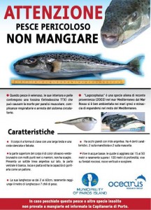 10270517_10152449391177722_4832660919319960192_n