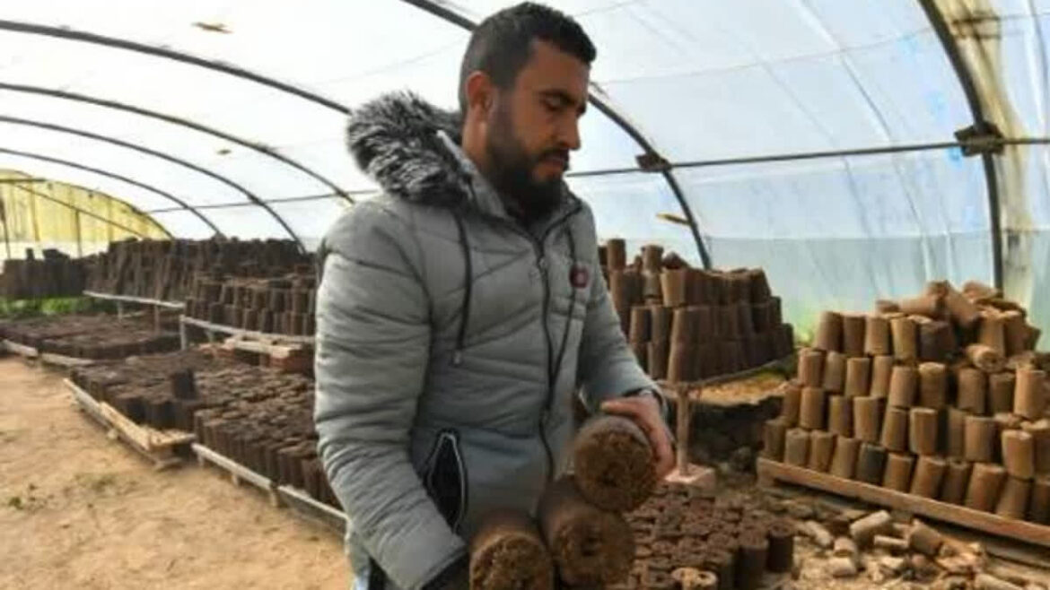 An employee carries rolls of olive pomace at the grounds of start-up Bioheat, on March 3, 2025, in the town of Sanhaja near Tunis.