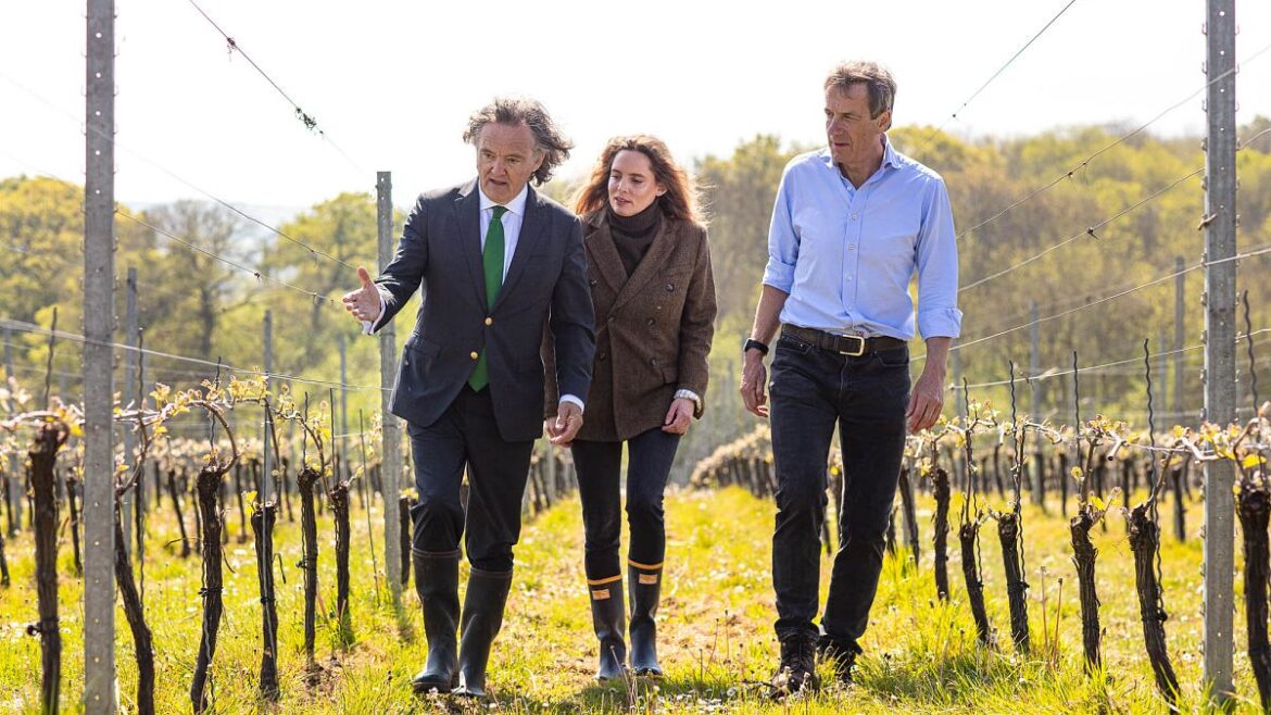 Why French winemakers are buying up huge swaths of land in Southern England