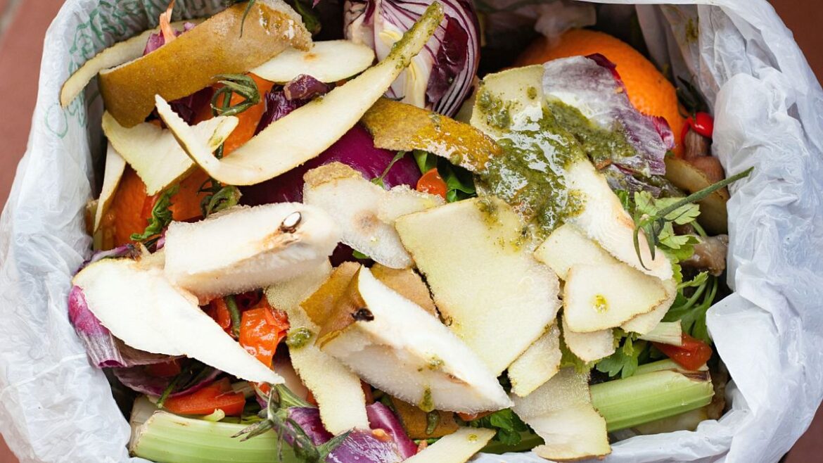 France implements compulsory composting. Here’s how it will help slash emissions France implements compulsory composting. Here’s how it will help slash emissions